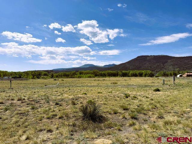 738 Pfeiffer Parkway South Fork CO 81154