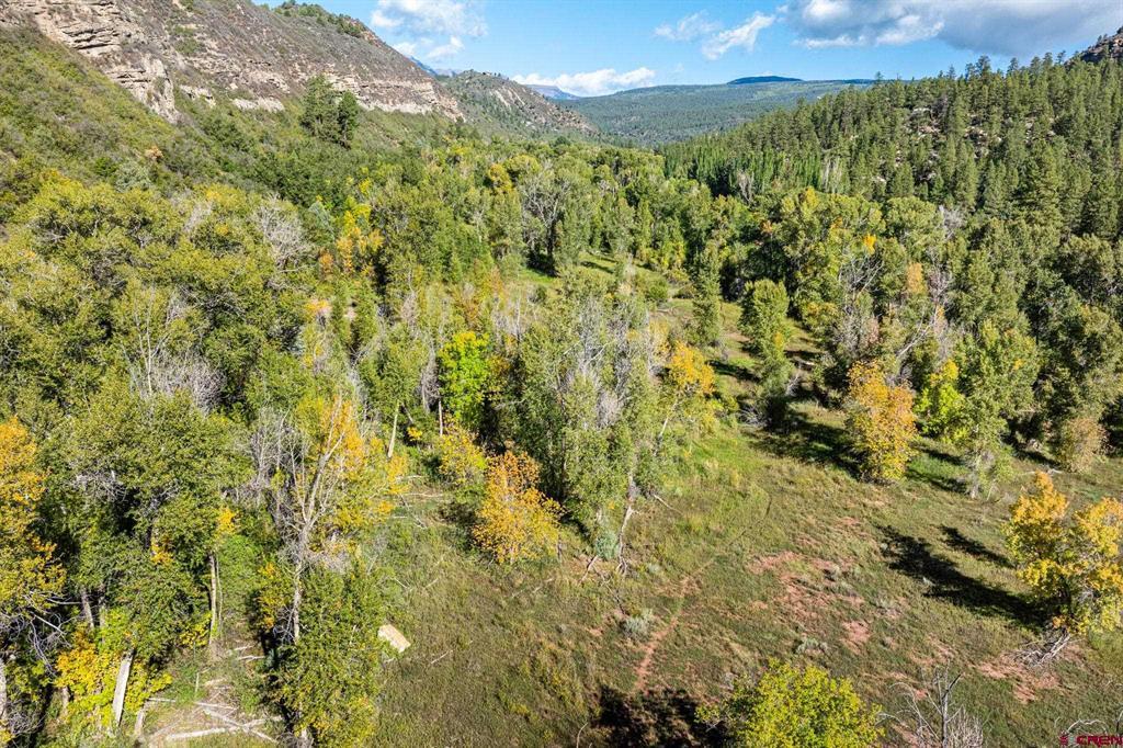 441 County Road 204 Durango CO 81301
