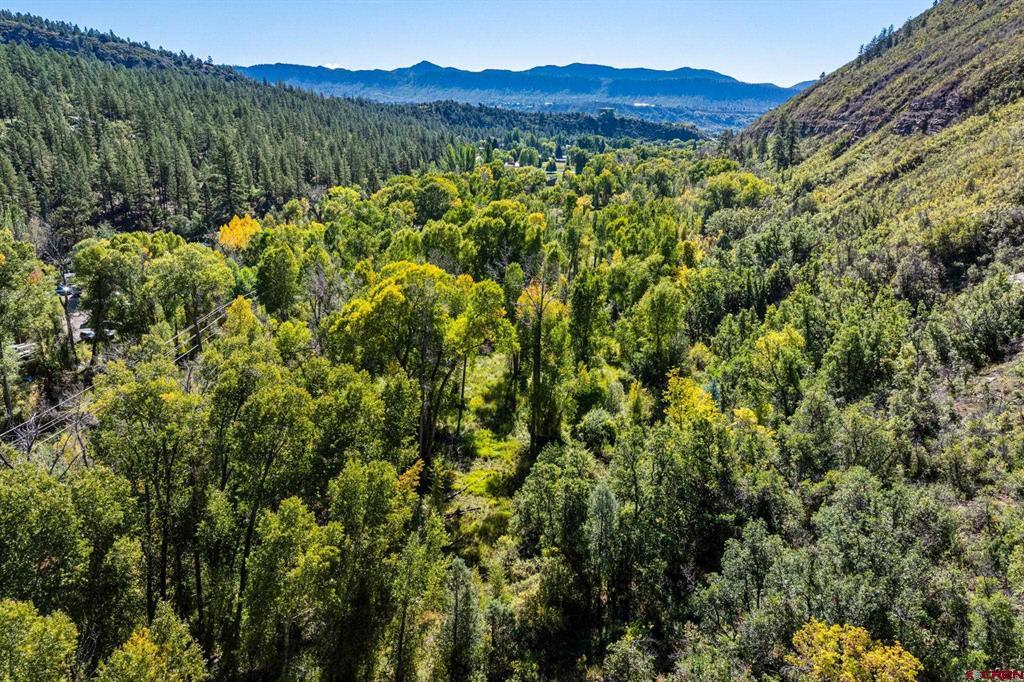 441 County Road 204 Durango CO 81301