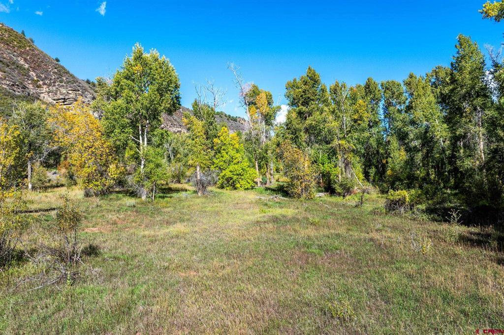 441 County Road 204 Durango CO 81301