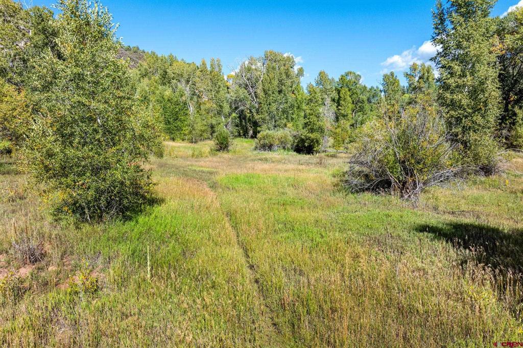 441 County Road 204 Durango CO 81301