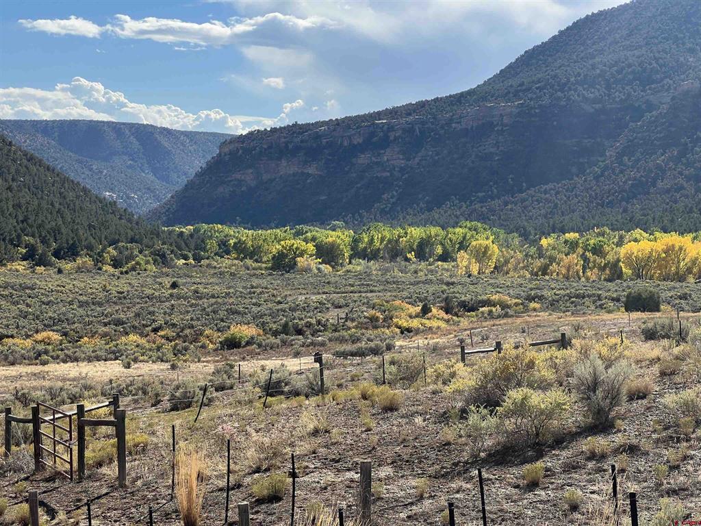 Tbd Road 41 Mancos CO 81328
