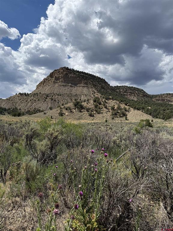 Tbd Road 41 Mancos CO 81328