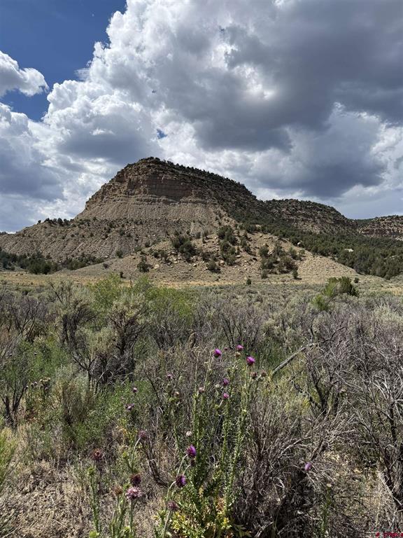 Tbd Road 41 Mancos CO 81328