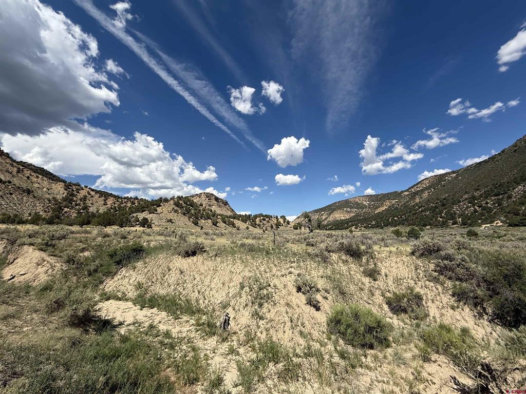 Tbd Road 41 Mancos CO 81328