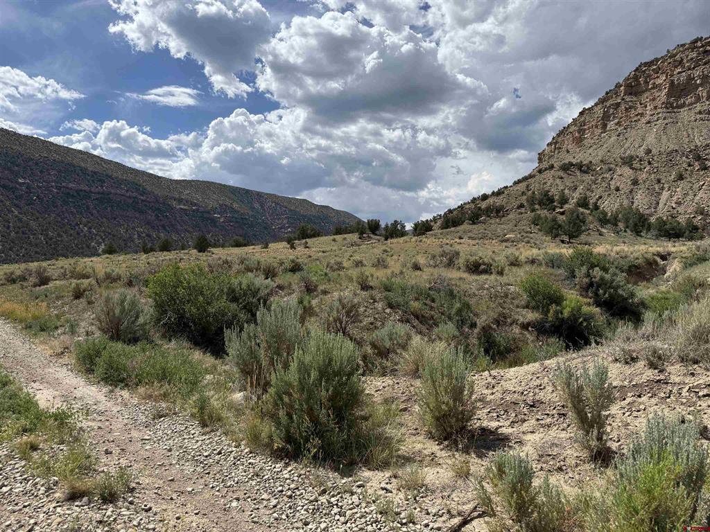 Tbd Road 41 Mancos CO 81328