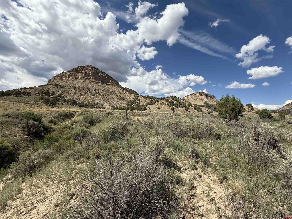 Tbd Road 41 Mancos CO 81328