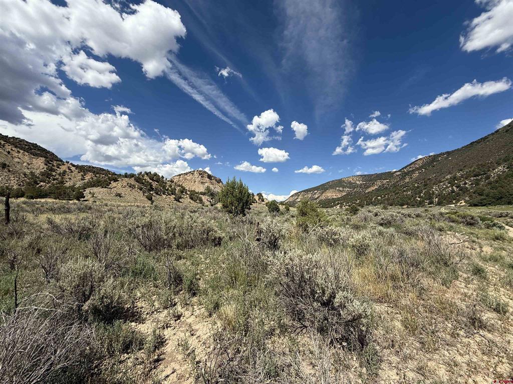 Tbd Road 41 Mancos CO 81328