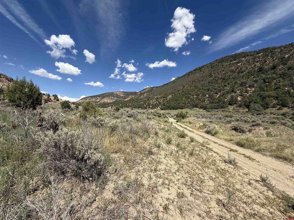 Tbd Road 41 Mancos CO 81328