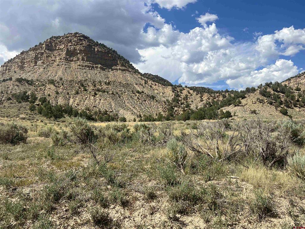 Tbd Road 41 Mancos CO 81328