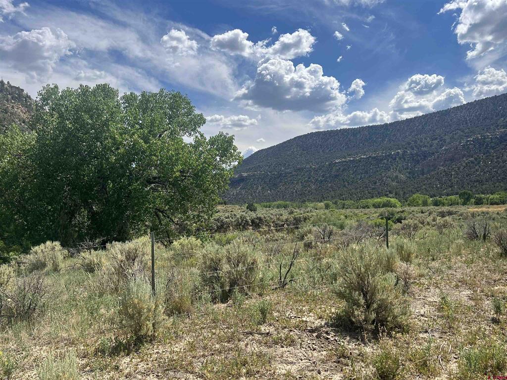 Tbd Road 41 Mancos CO 81328