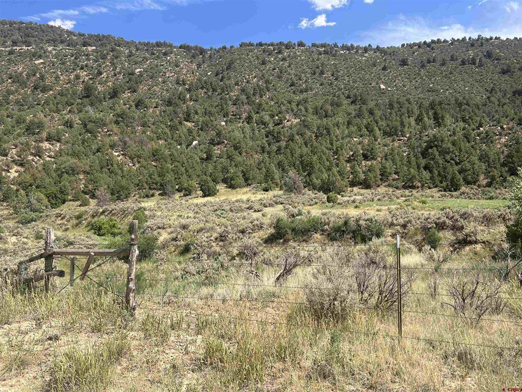 Tbd Road 41 Mancos CO 81328