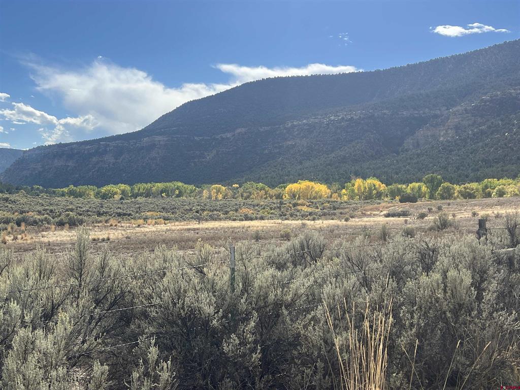 Tbd Road 41 Mancos CO 81328