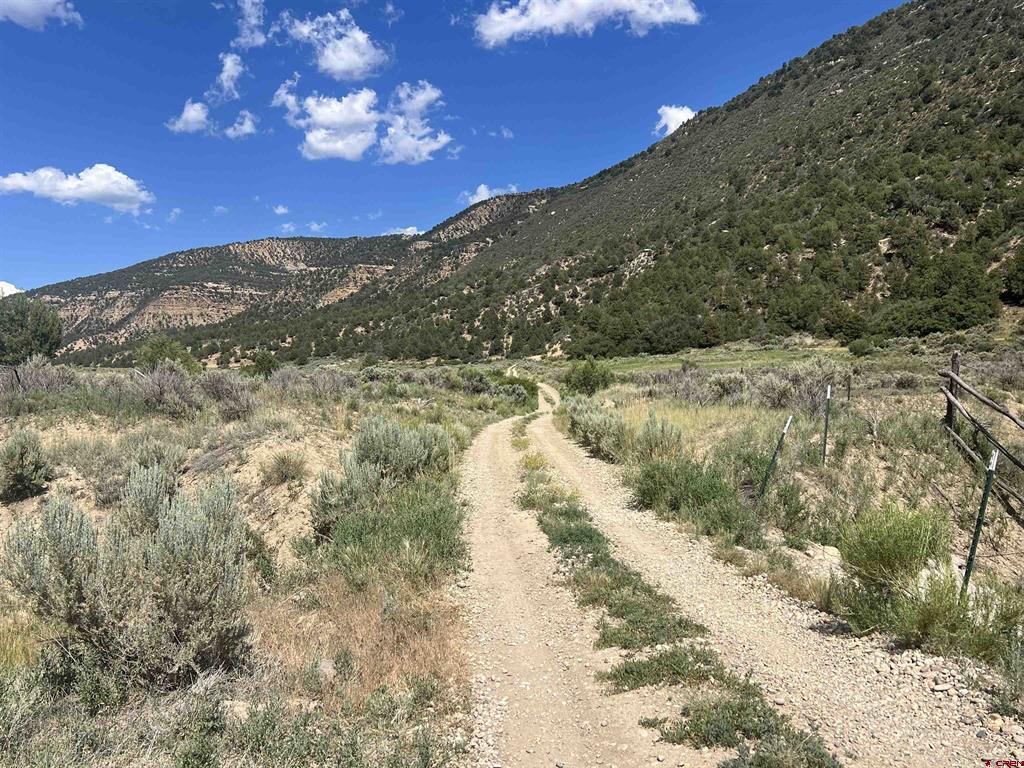 Tbd Road 41 Mancos CO 81328