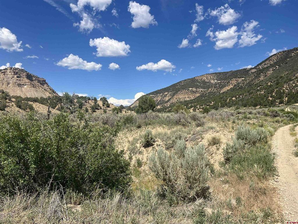 Tbd Road 41 Mancos CO 81328