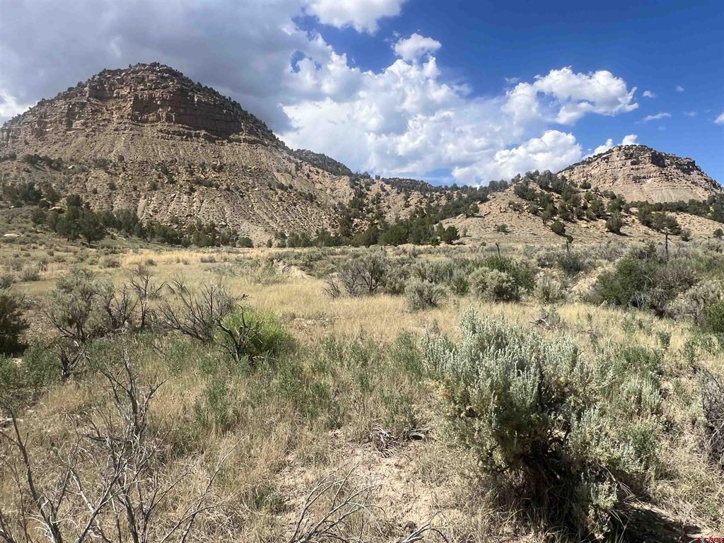 Tbd Road 41 Mancos CO 81328