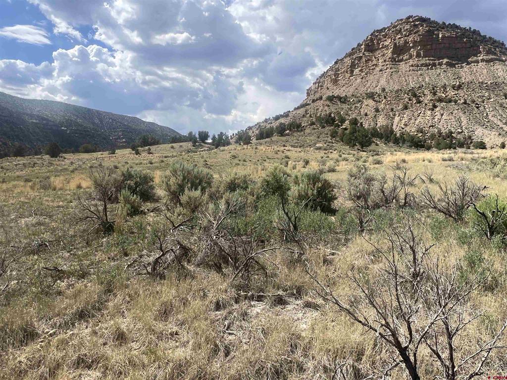 Tbd Road 41 Mancos CO 81328