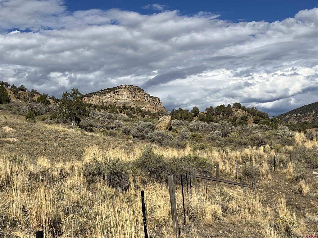 Tbd Road 41 Mancos CO 81328