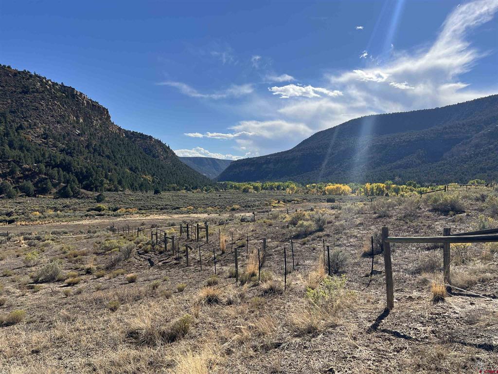 Tbd Road 41 Mancos CO 81328