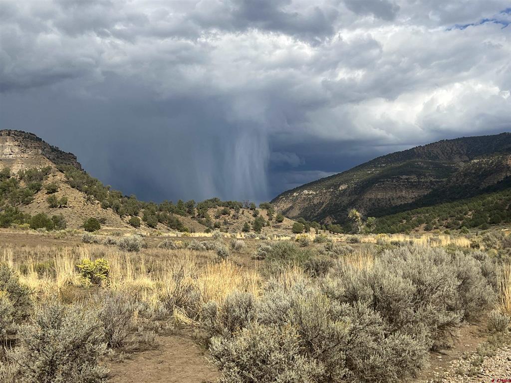 Tbd Road 41 Mancos CO 81328