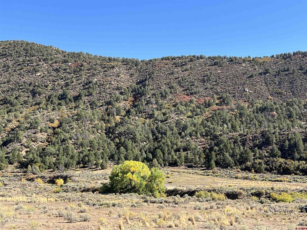 Tbd Road 41 Mancos CO 81328