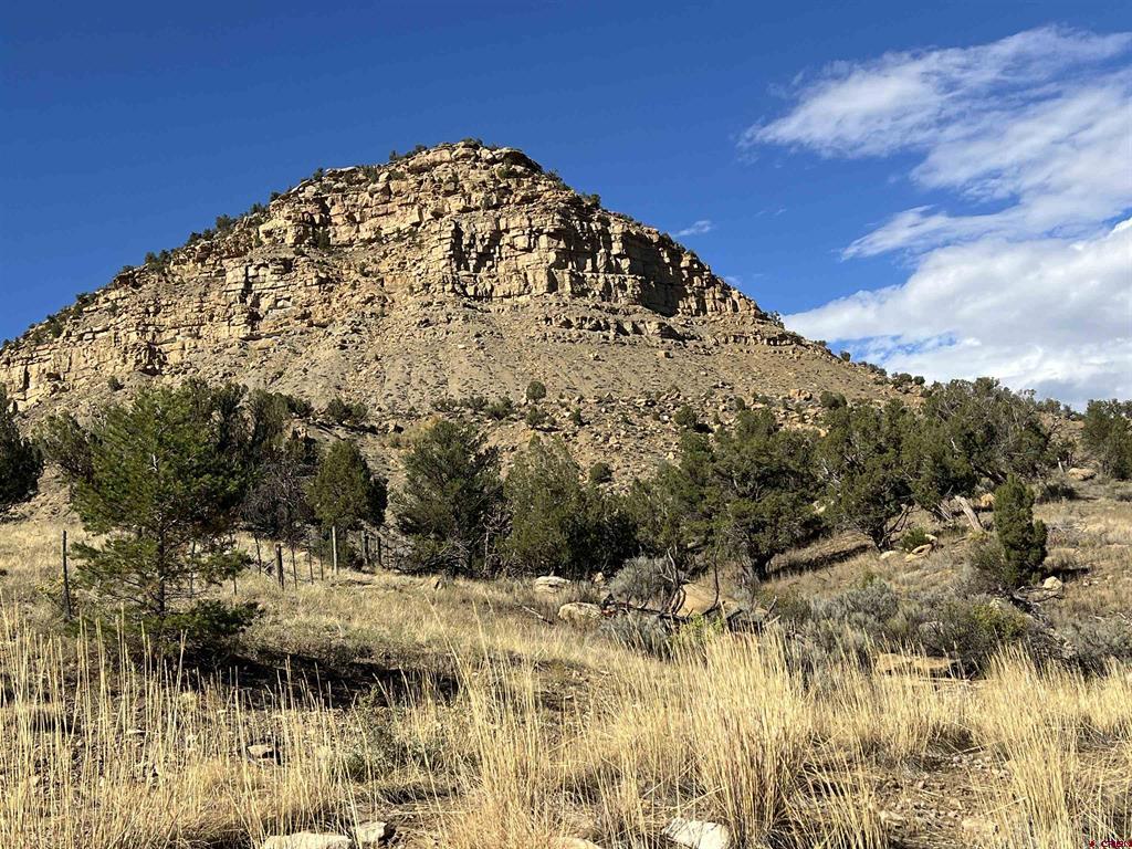 Tbd Road 41 Mancos CO 81328