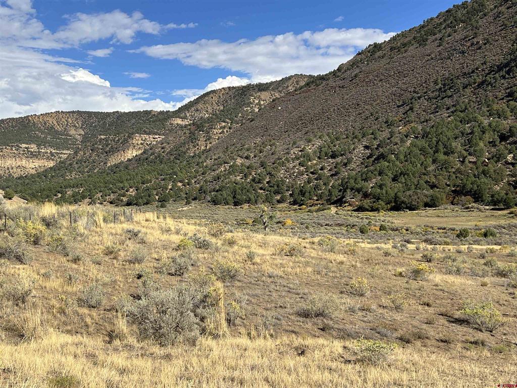Tbd Road 41 Mancos CO 81328
