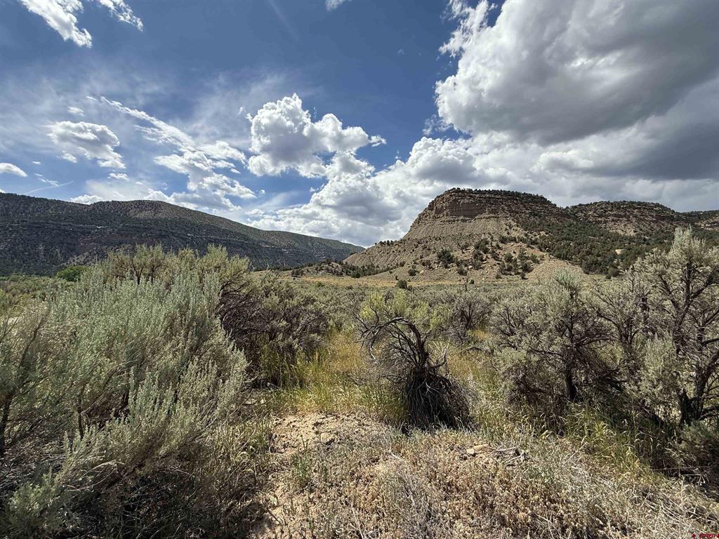 Tbd Road 41 Mancos CO 81328