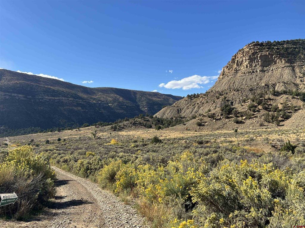 Tbd Road 41 Mancos CO 81328
