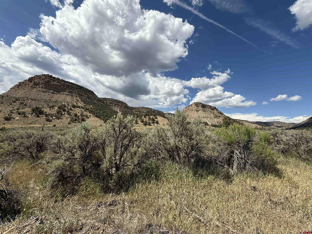 Tbd Road 41 Mancos CO 81328