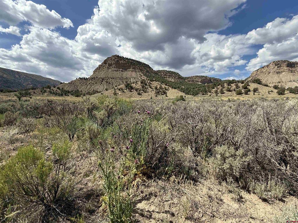 Tbd Road 41 Mancos CO 81328
