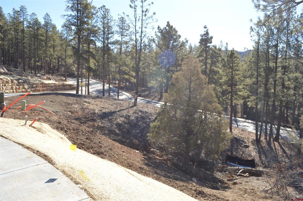 35 Snowdrop Court (Lot 141) Durango CO 81301