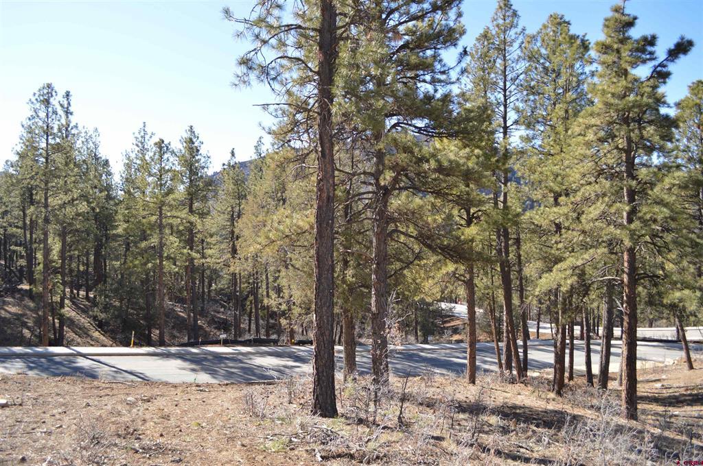 35 Snowdrop Court (Lot 141) Durango CO 81301