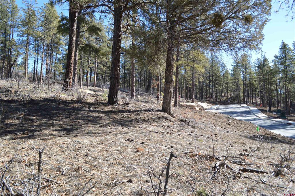 35 Snowdrop Court (Lot 141) Durango CO 81301