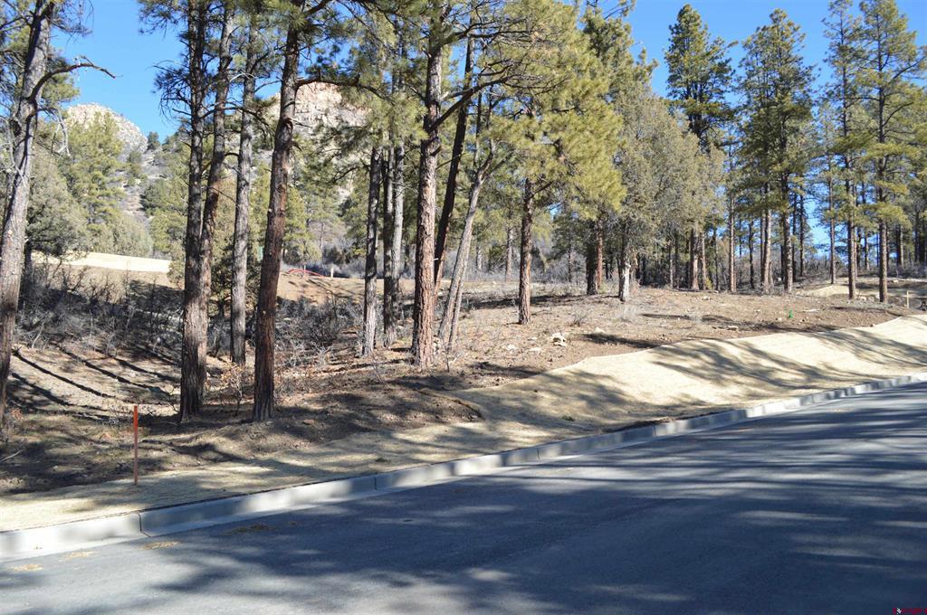35 Snowdrop Court (Lot 141) Durango CO 81301