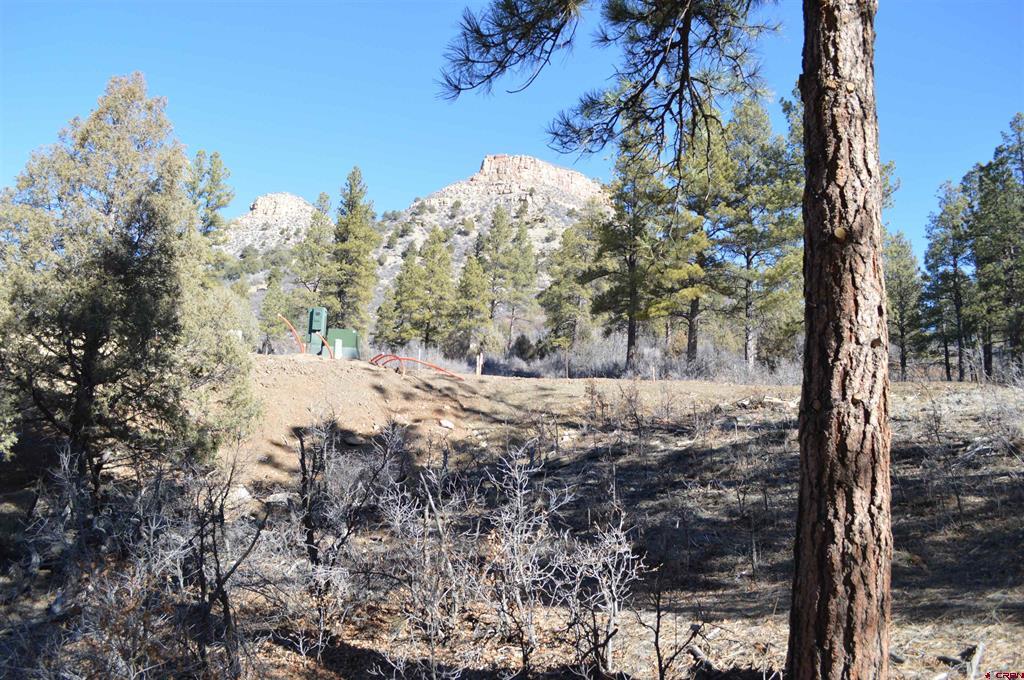 35 Snowdrop Court (Lot 141) Durango CO 81301