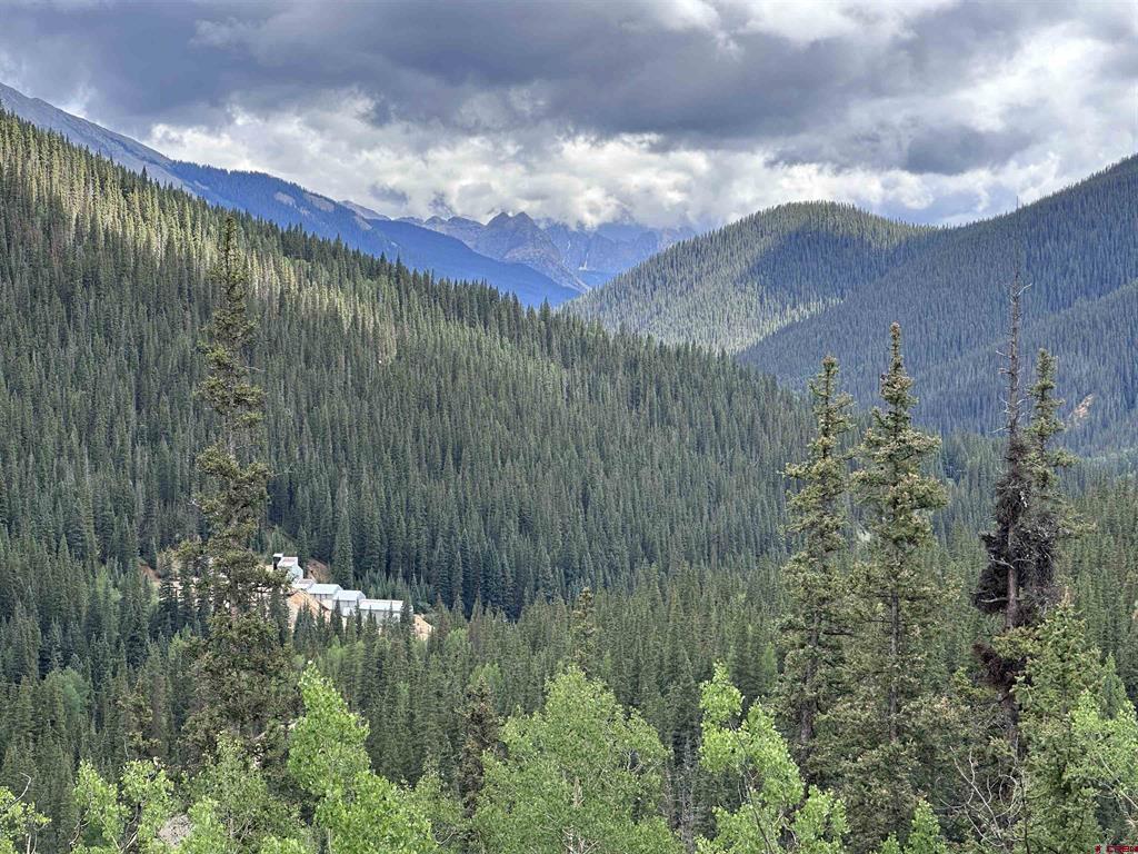 Lot 4 Overland Estates, Cr 110 Silverton CO 81433