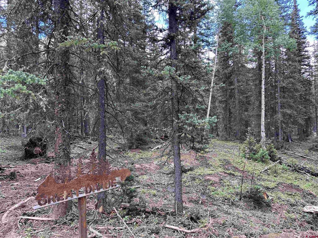 Lot 4 Overland Estates, Cr 110 Silverton CO 81433