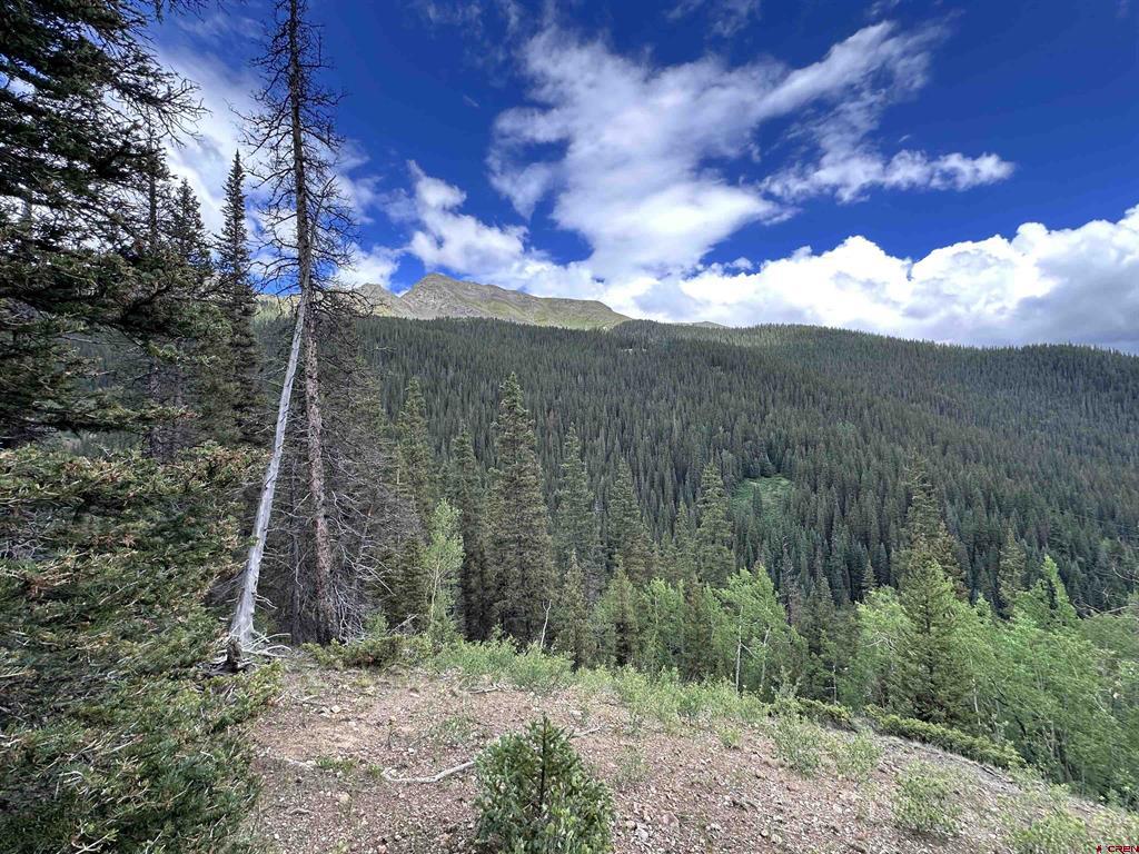 Lot 4 Overland Estates, Cr 110 Silverton CO 81433