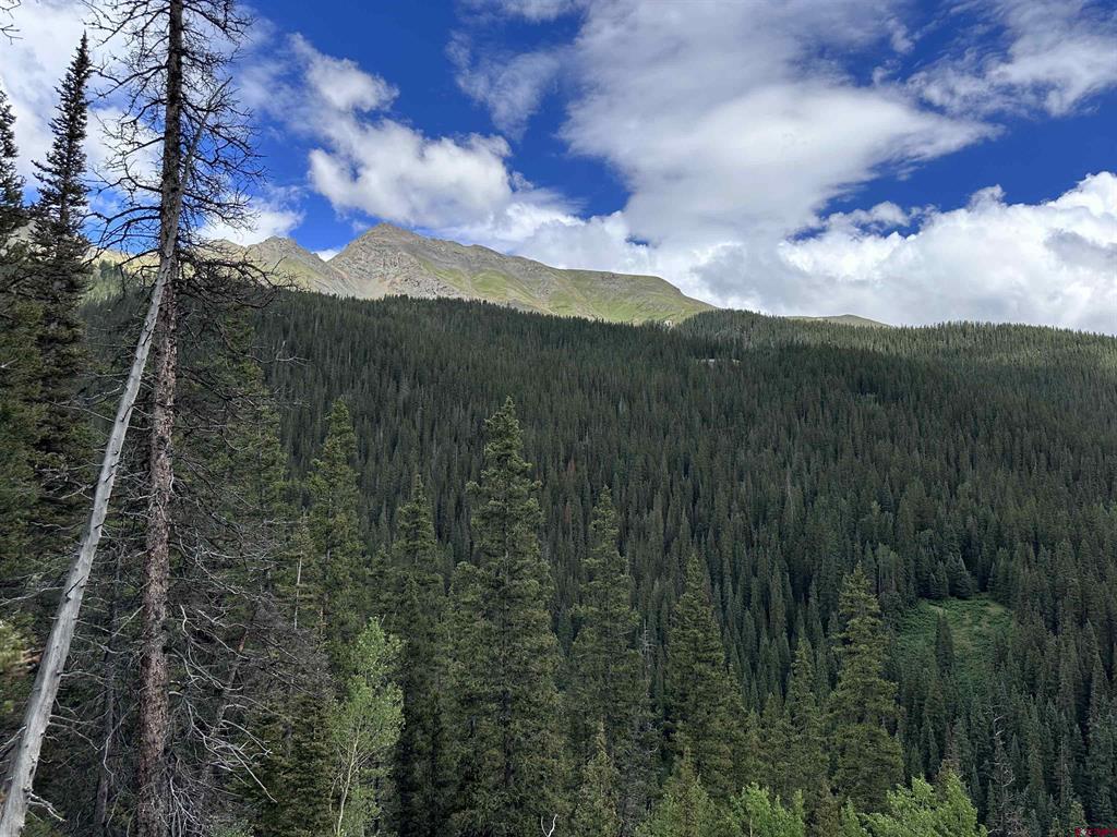 Lot 4 Overland Estates, Cr 110 Silverton CO 81433