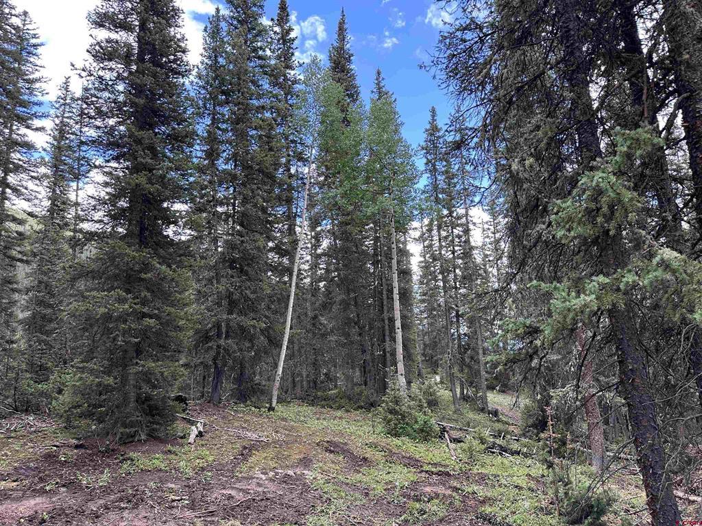 Lot 4 Overland Estates, Cr 110 Silverton CO 81433