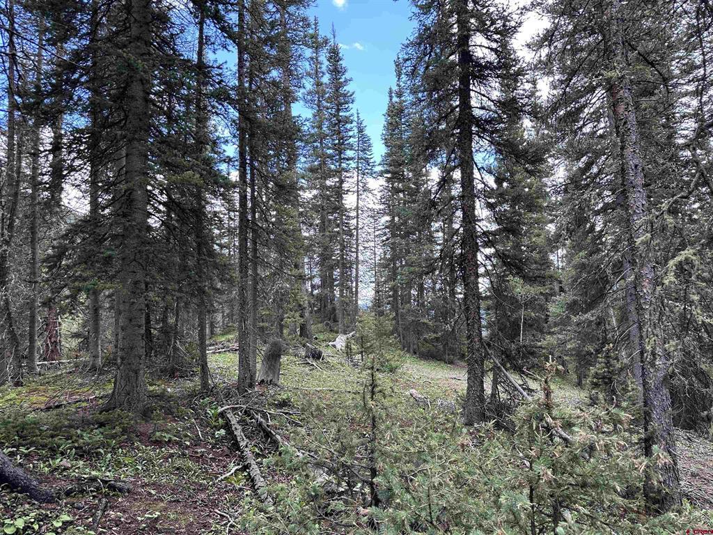 Lot 4 Overland Estates, Cr 110 Silverton CO 81433