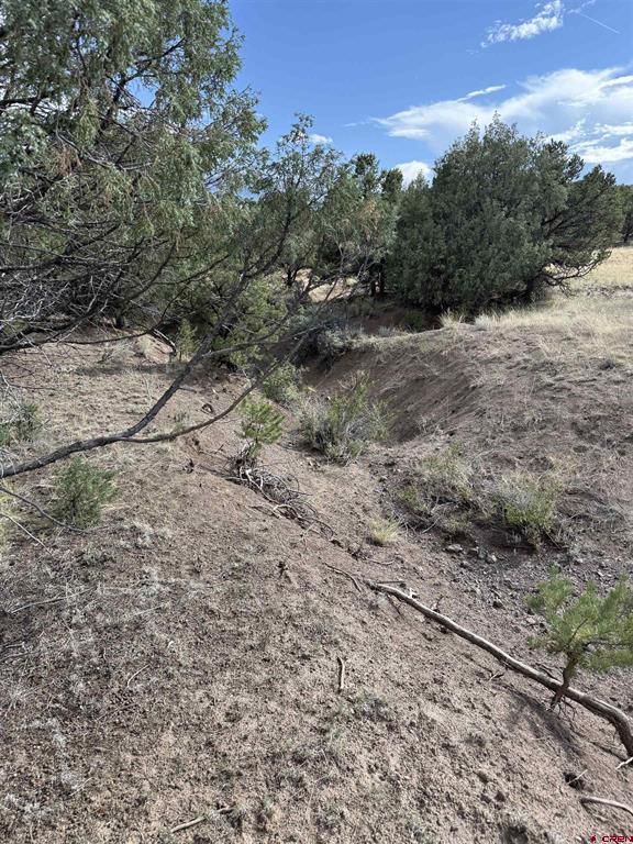 729 Vail Pass Road South Fork CO 81154