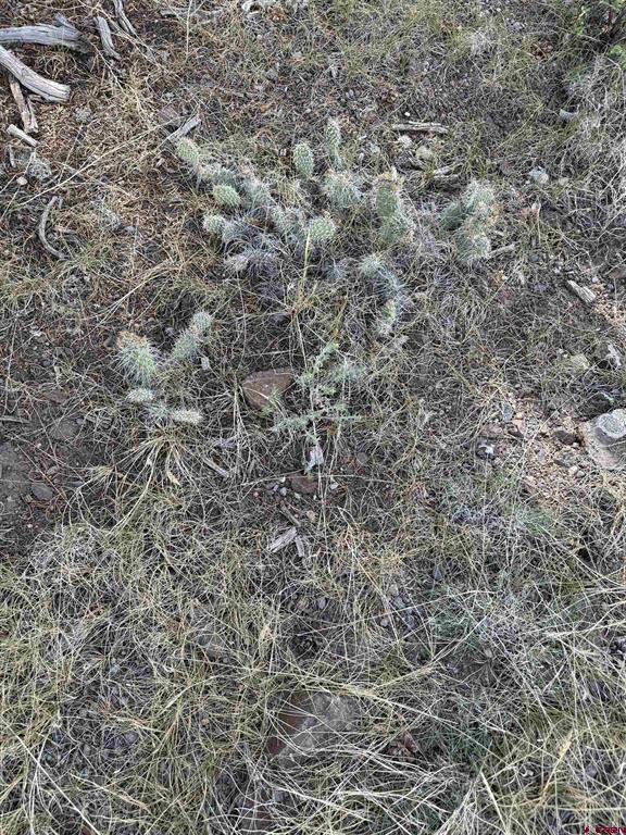 729 Vail Pass Road South Fork CO 81154