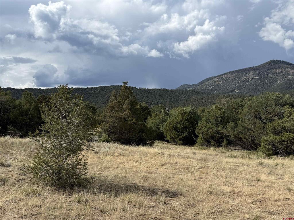 729 Vail Pass Road South Fork CO 81154