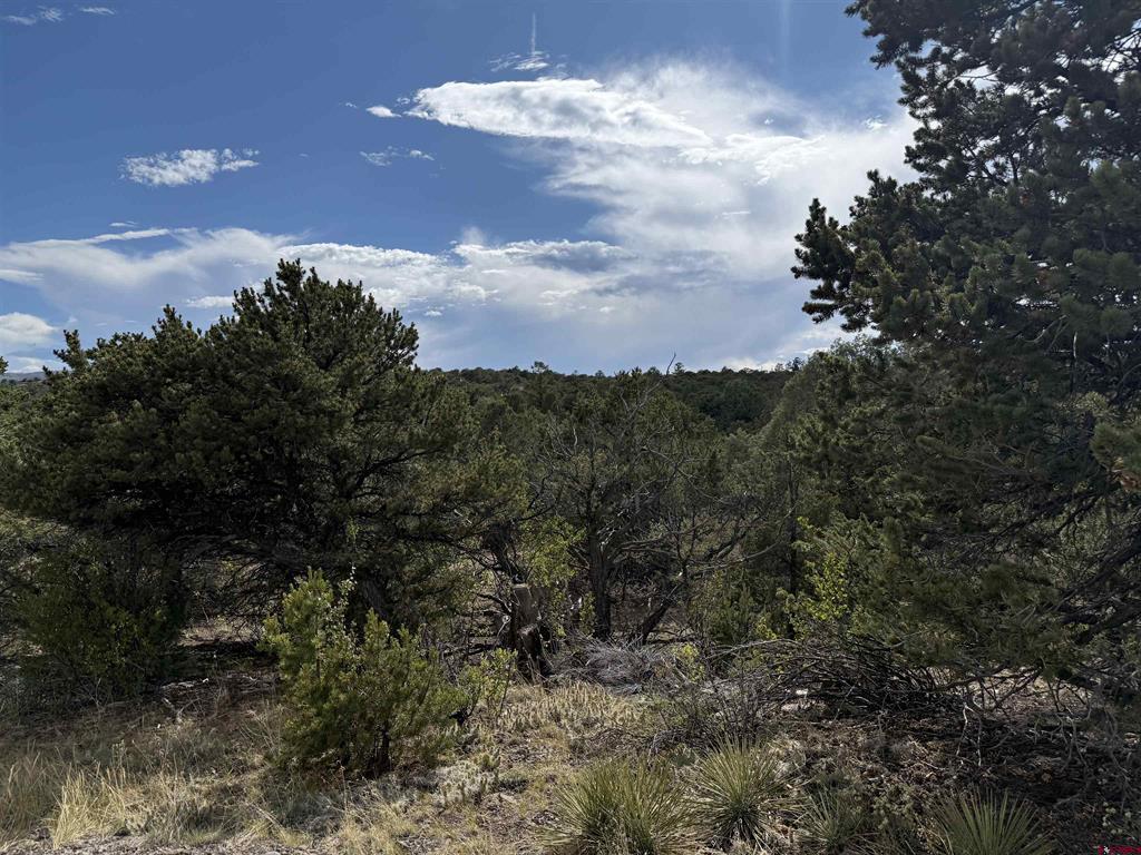 729 Vail Pass Road South Fork CO 81154