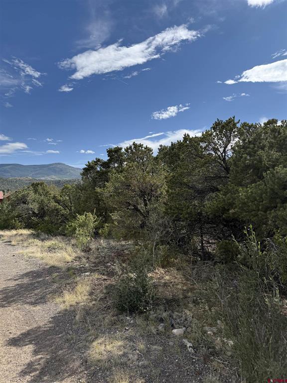729 Vail Pass Road South Fork CO 81154
