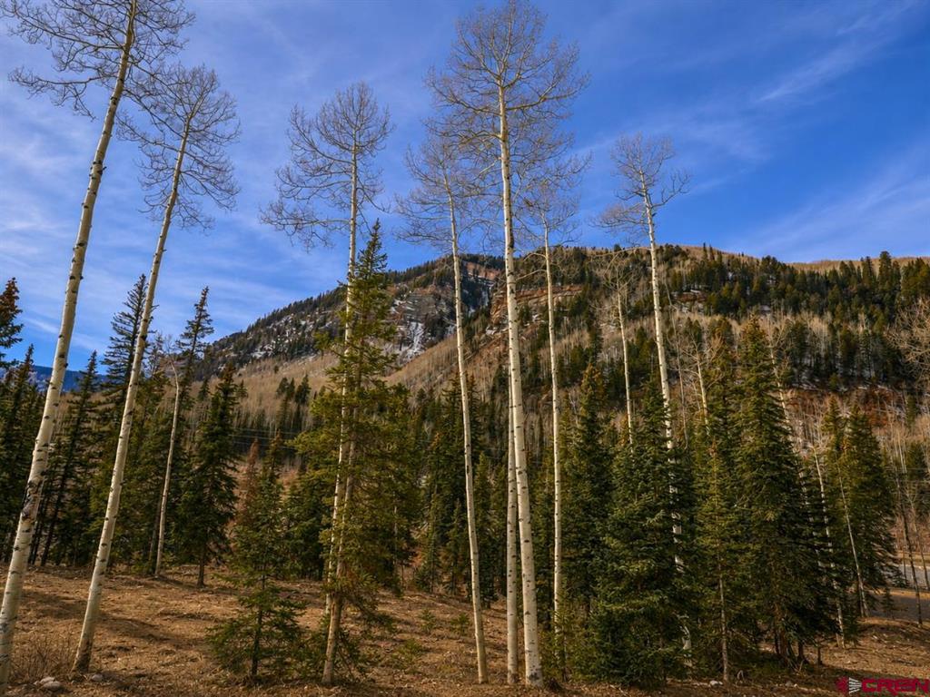 35 Grand Turk Court Durango CO 81301