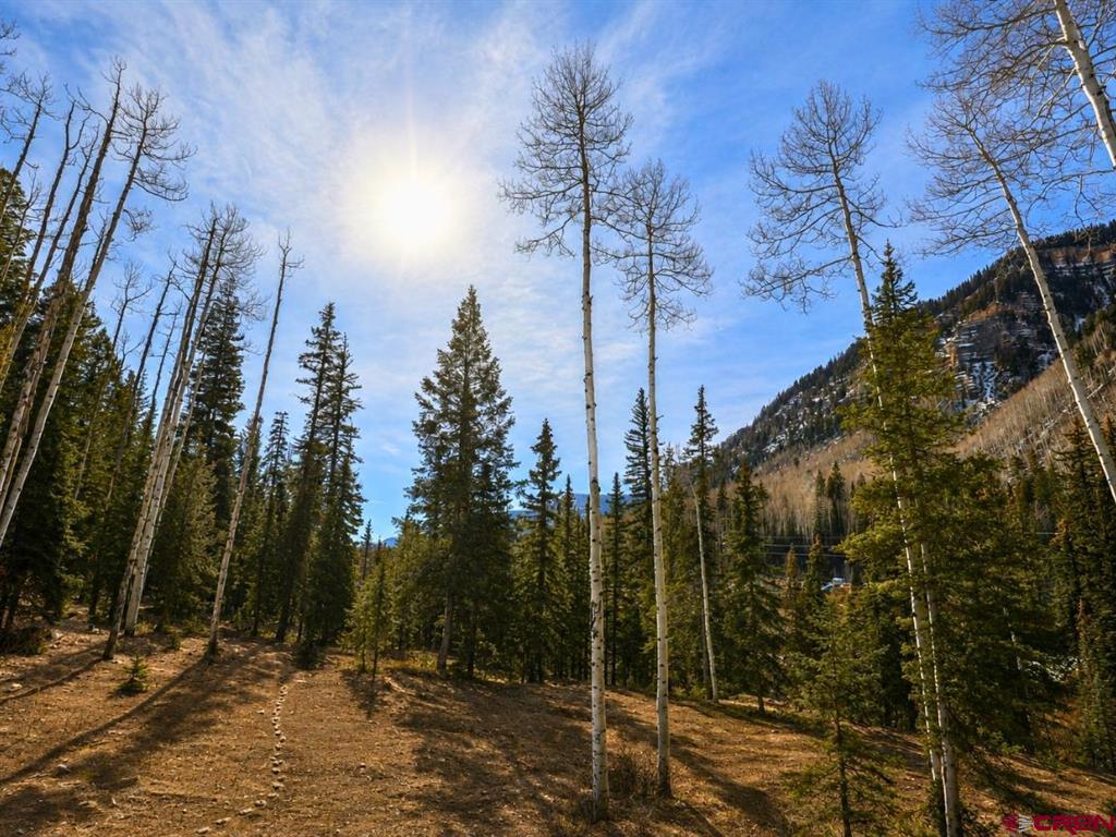 35 Grand Turk Court Durango CO 81301