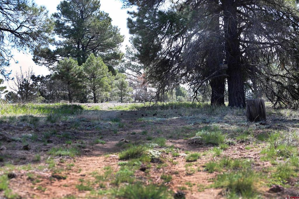 492 Prospect Boulevard Pagosa Springs CO 81147